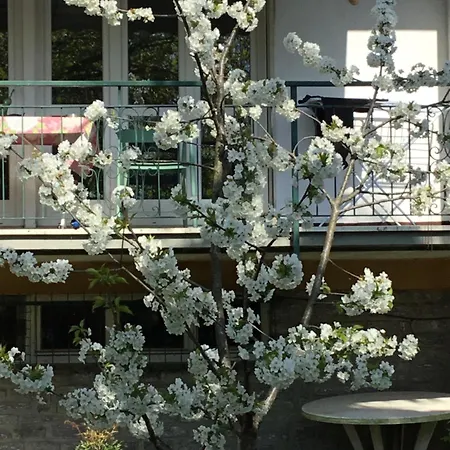 Residenza Il Ciliegio Feriehus *